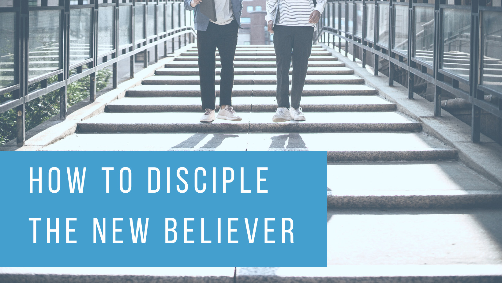 How to Disciple the New Believer Step-by-Step