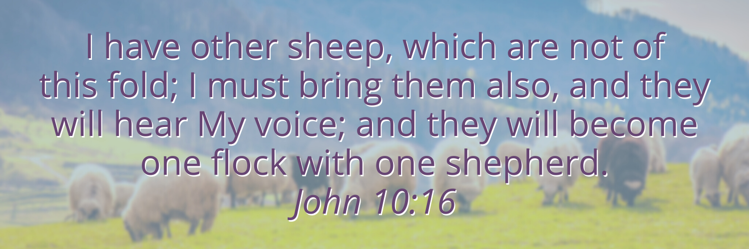 Sheep herd with John 10:16 over it