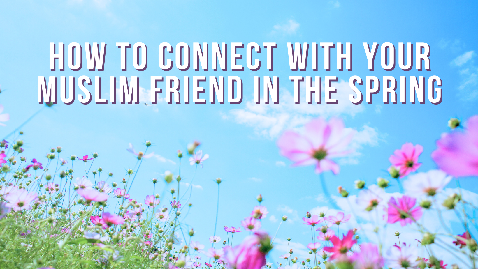 How to connect with your Muslim friend in the spring