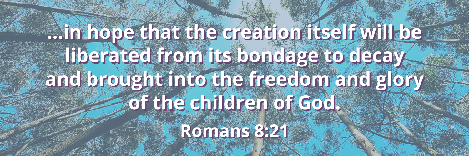 Romans 8:21 - Trees and blue sky under Bible verse