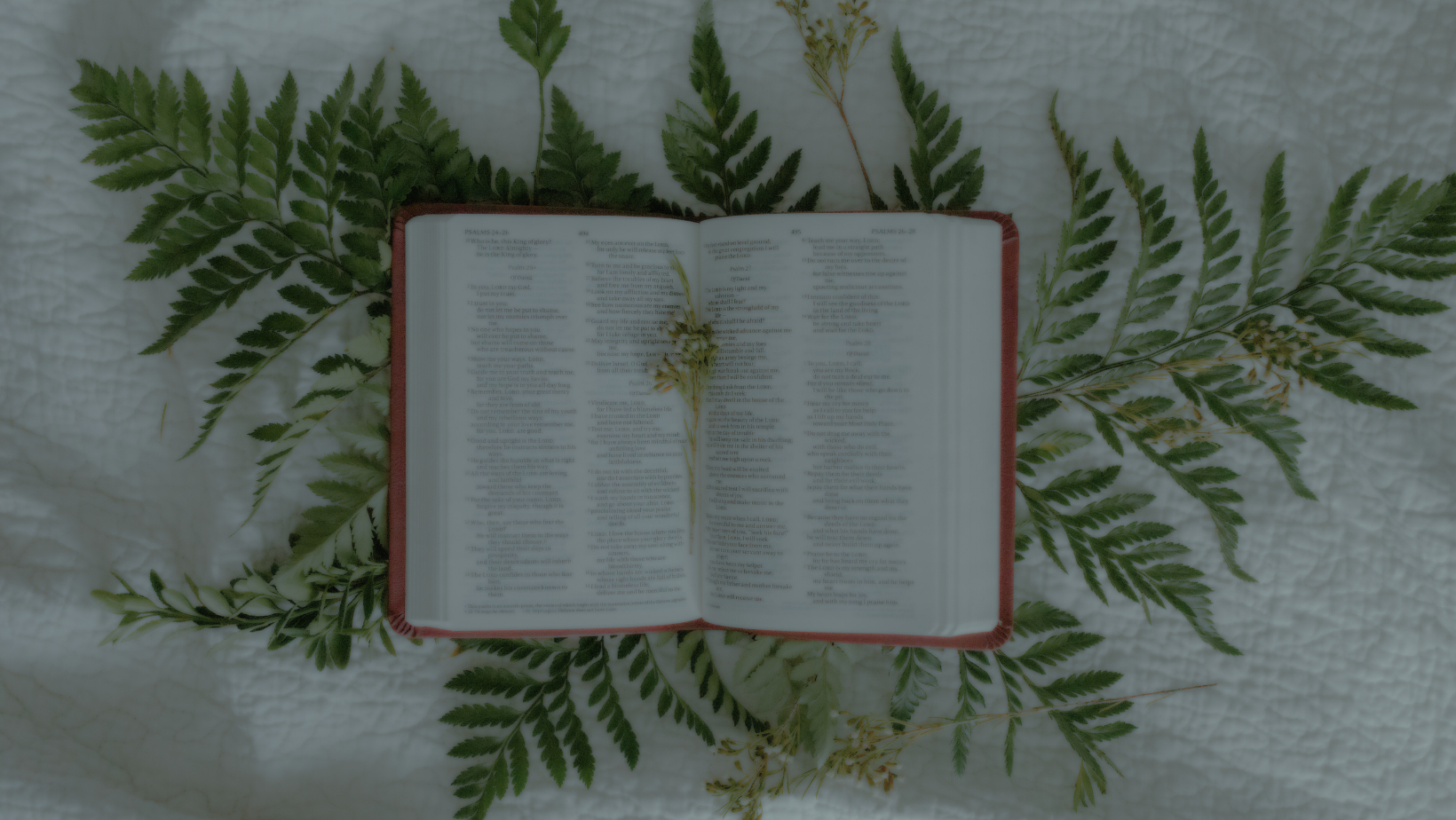 Bible and green foliage